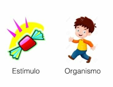 1801 - 1990 Burrhus Frederic Skinner (1904-1990)