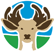 Reserva Ecológica Arenillas