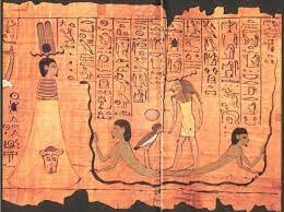 Desarrollo del papiro.