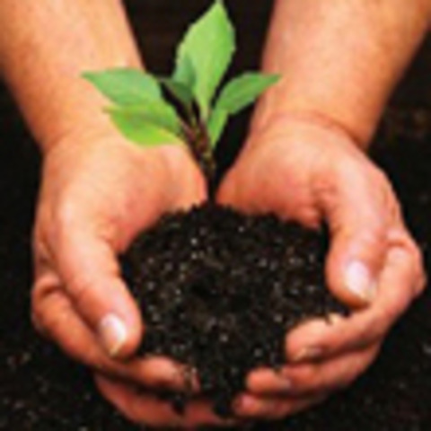 The first environmental policy at IKEA