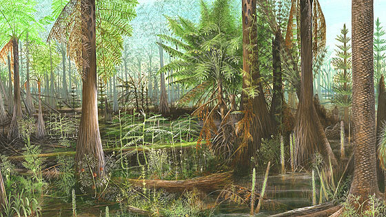 Carboniferous period (Dec 2)
