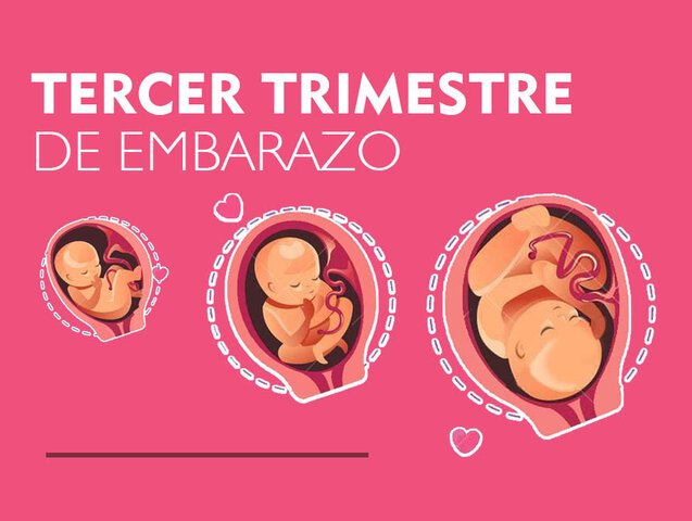 Gestación: Tercer trimestre