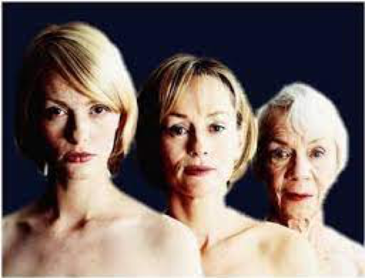 Adultez media (40 a 65 años)