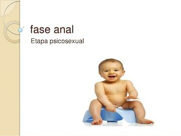 Fase anal
