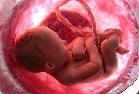 Prenatal (concepción al nacimiento).