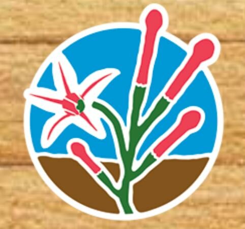 Parque Nacional Yacuri