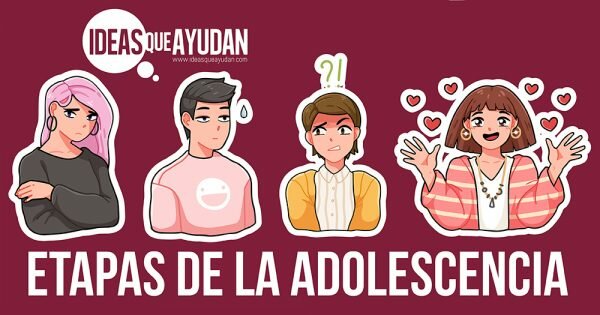 Adolescencia (de los 11 a los 20 años aproximadamente).