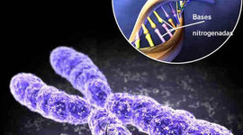 Timeline: LA REVOLUCION BIOTECNOLÓGICA