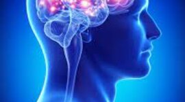 Timeline: HISTORIA DE LA PSICOLOGÍA  por Yurlandia Cermeño, Karina Ospino Padilla, Doriela Padilla Martínez