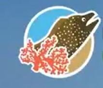 Reserva Marina Cantagallo Machalilla