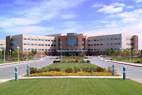 Bateson en Palo Alto