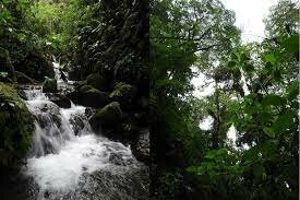 Cordillera Oriental del Carchi (APAD)