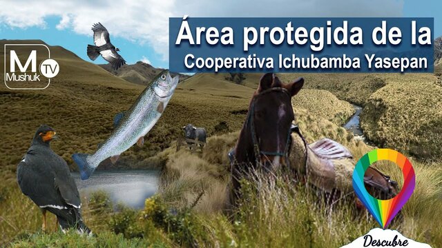 Área Protegida Privada Cooperativa Ichubamba Yasepan