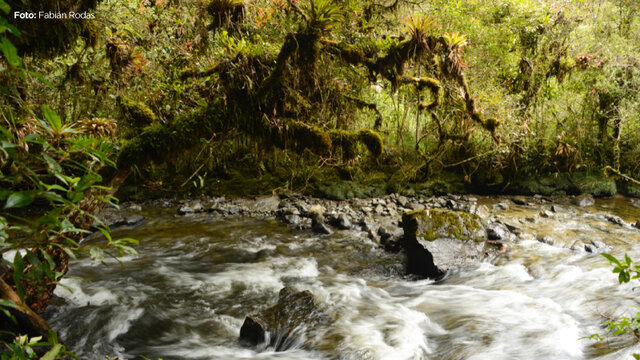 Área Ecológica de Conservación Municipal Mazán