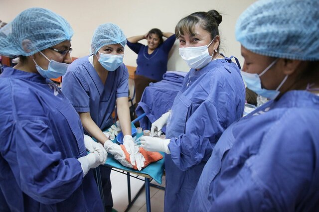 Porcentajes en campos de aplicación en enfermería