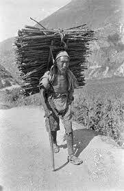 Ley de Inmigración China