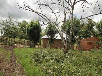 Resolución 735 (2014)