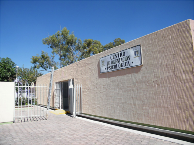 Orientación vocacional