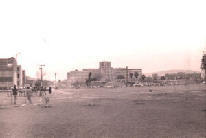 primer plan de estudios de licenciatura