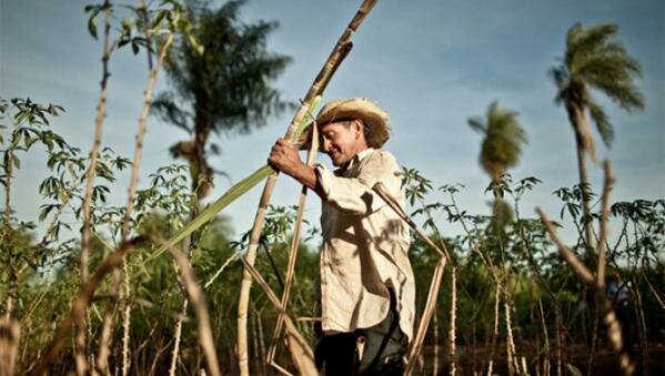 Período 7. Declive institucional (1973-1982)