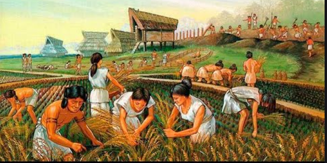 L'invenció de l'agricultura