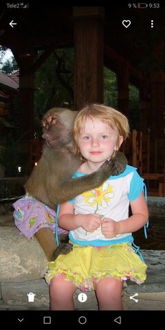 Появление веснушек после юга