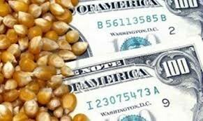 OMC : Aspectos de impacto - los subsidios a productores agrícolas