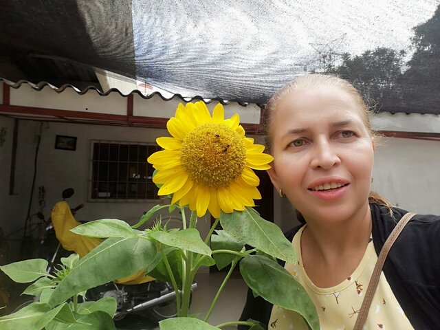 Inicio Licenciatura en Ciencias Sociales.