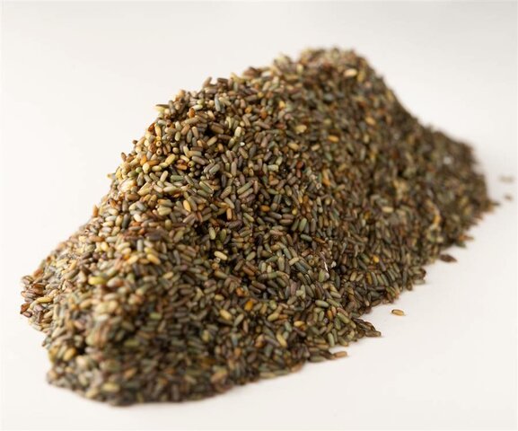 DESCUBRIMENT CEREAL DEL MAR