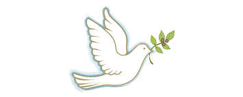 Jueces de Paz Barranquilla