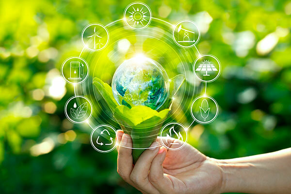 Aparece el concepto desarrollo sostenible