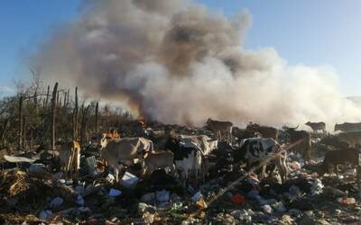 PROBLEMAS AMBIENTALES