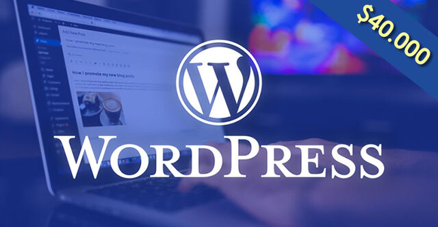 Parte 3: La Historia de WordPress