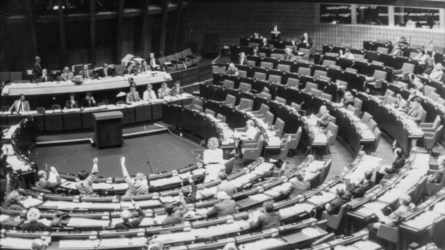 First European Elections