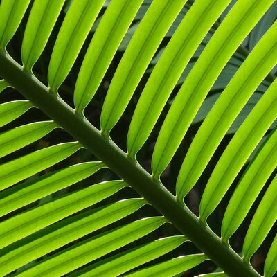 Timeline: frise historique sur la robotique