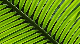 Timeline: frise historique sur la robotique