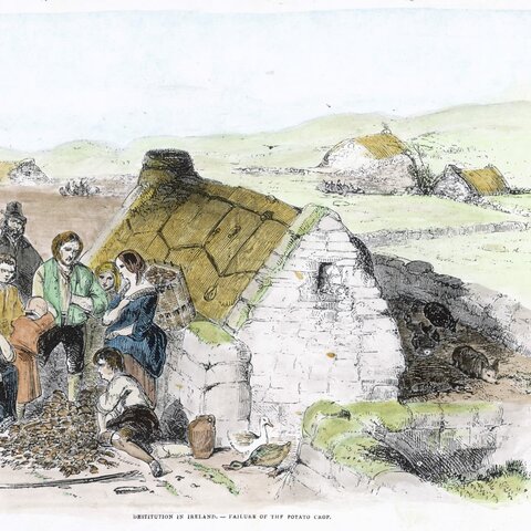 “Irish Potato Famine” or “The Great Hunger”