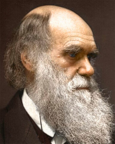 “On the Origin of Species” by Charles Darwin