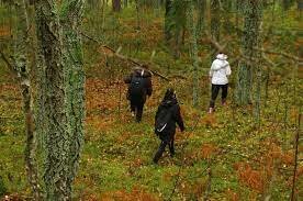 Käisin matkalaagris