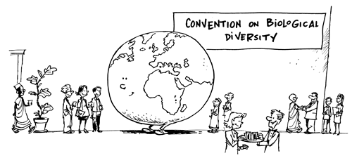 convention of biological diversity