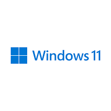 Windows 11