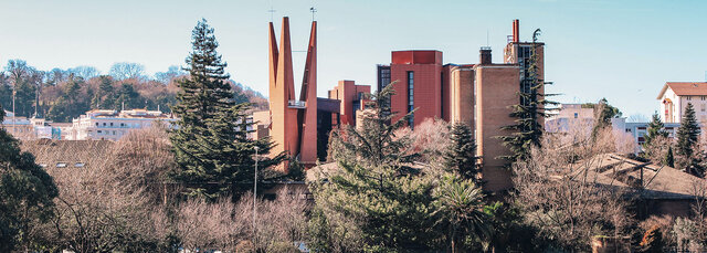 Sobrecarga de trabajo PDI