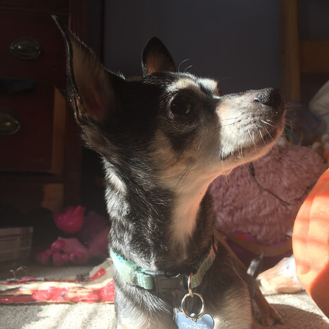 Found Patrick!!!!!!!!!!!!!!!!!!!!!!!!!!!!!!!!!