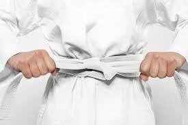 Started Practicing Taekwondo [determined]