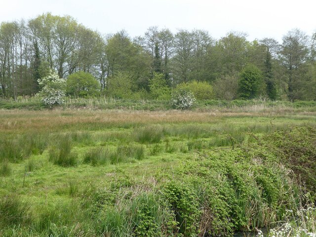 Laundrie's Body is Found