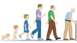 Timeline: LA EVOLUCIÓN SEXUAL DESDE LA INFANCIA A LA ADULTEZ MAYOR