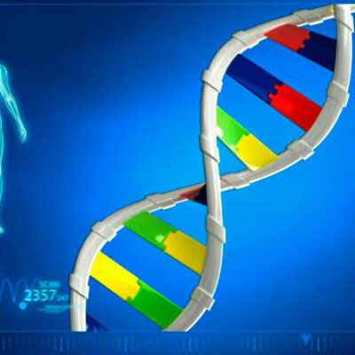 Timeline: Historia de la genética