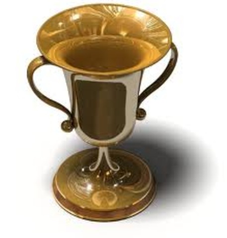 Won the Screen Actor Guild Awards because of Outstanding Performances in a Drama Series.