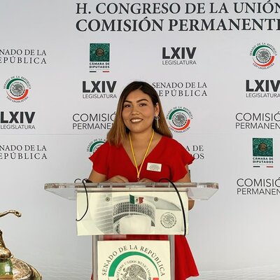 Timeline: Biografía como estudiante