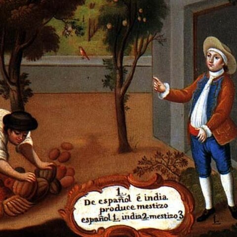 d) La estructura social de la Nueva España